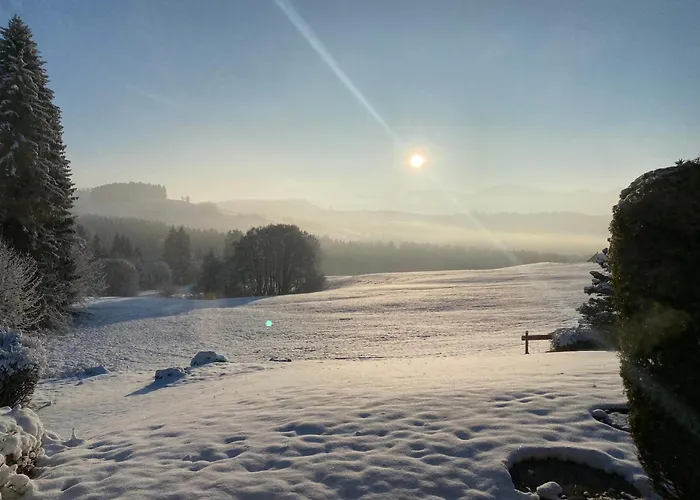 Neu - Allgaeuparadies - Traumhafte Aussichten Mitten In Der Des Westallgaeus * Oberreute